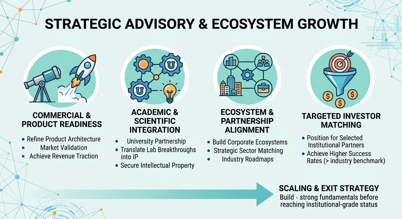 Strategic Advisory Beyond Traditional Venture Capital for Scale-Ups and Research Spin-Outs South Africa